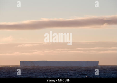 Tabular iceberg, South Scotia Sea, Antarctica Stock Photo