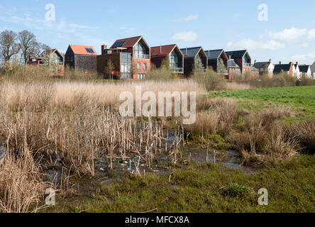 Housing in Upton seen from Upton Country Park, Northampton, Northamptonshire, England, UK Stock Photo