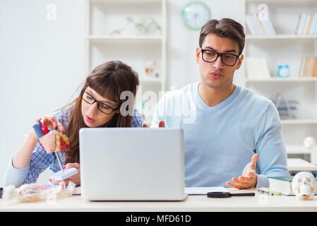 Two medical students studying in classroom Stock Photo