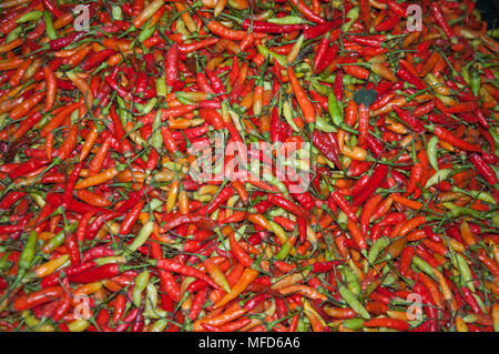 Fresh chilli peppers, Kota Kinabalu, Sabah, Malaysia Stock Photo