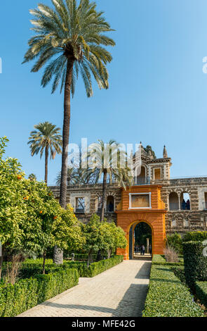 Garden in the Alcazar, Royal Palace of Seville, Seville, Spain Stock Photo