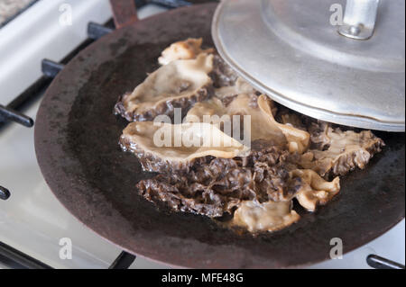 Frugal cooking morels being fried in butter to retain flavour, sliced in half and washed prior heating on solid steel tava tawa over gas flame. Stock Photo