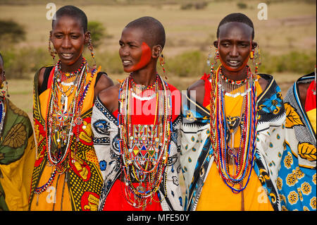 その他 Masai Women: The Masai of Kenia [DVD] Masai Women: The Masai of Kenia [DVD](品) 【公式通販】