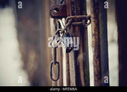 A metal gate closed on the lock on a rusty chain. Stock Photo