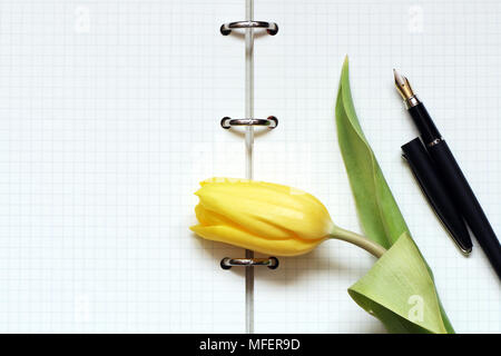 Yellow tulip and fountain pen lying on open spiral notebook Stock Photo