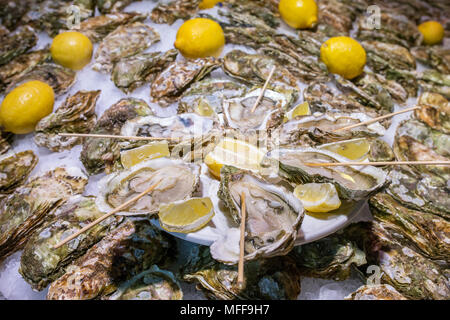 Opened fresh oysters on ice with lemon Stock Photo