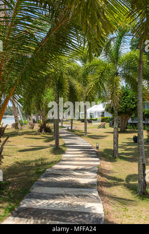 Beautiful walkway under the Palm trees in tropical resort on Koh Kood island, Thailand Stock Photo