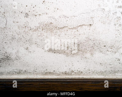 Unhealthy mold, mould growing on interior house wall. Stock Photo