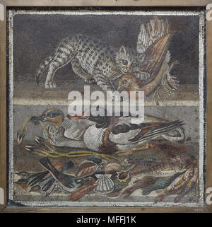 Cat attacking a partridge and ducks, birds, fish and shellfish depicted in the Roman mosaic from the Casa del Fauno (House of the Faun) in Pompeii, now on display in the National Archaeological Museum (Museo Archeologico Nazionale di Napoli) in Naples, Campania, Italy. Eurasian teal (Anas crecca) at the left and the common shelduck (Tadorna tadorna) at the right are depicted in the mosaic. Stock Photo