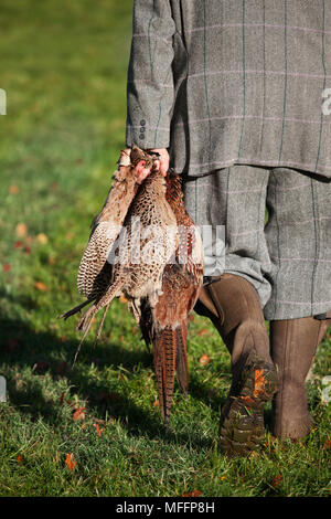 A well dressed Game Keeper holds two Partridges and a Ring-necked pheasant.