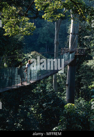 ECO-TOURISTS on walkway  in canopy of rainforest Danum Valley, Sabah, Malaysia Stock Photo