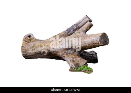 Piece of wood in a park, dead stump on the side Stock Photo