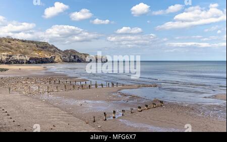 Beach and cliff at Sandsend, Yorkshire.  Wooden posts of an old breakwater stretches out to the sea and a blue, cloudy sky, is overhead. Stock Photo