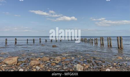 Two lines of wooden posts of an old breakwater converge in the sea. Rocks are strewn in the foreground. Stock Photo