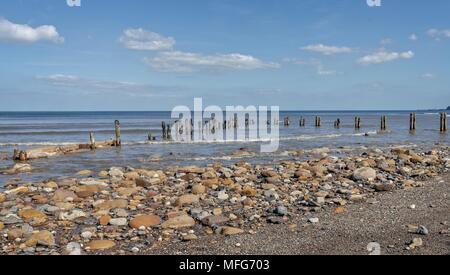 Two lines of wooden posts of an old breakwater converge in the sea. Rocks are strewn in the foreground. Stock Photo