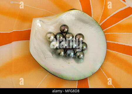 Black Pearl, Rangiroa, French Polynesia Stock Photo - Alamy