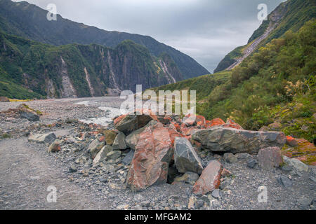 Walking trail to Fox Glacier in New Zealand's Southern Alps leads through U-shaped valley formerly carved by the glacier but now occupied by a river Stock Photo