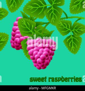 Red, juicy, sweet raspberries on a branch for your design. Vector illustration Stock Vector