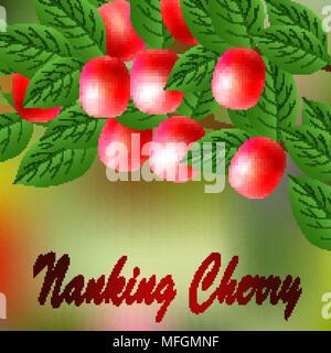 Red, juicy, sweet Nanking Cherry on a branch for your design. Vector illustration Stock Vector