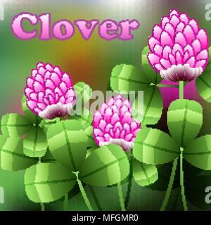Blooming pink flowers on green field, clover meadow. Vector illustration Stock Vector