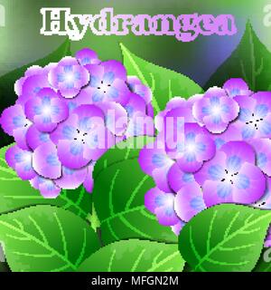 Beautiful spring flowers Hydrangea. Cards or your design with space for text. Vector illustration Stock Vector