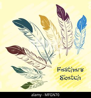 Set of beautiful colored feathers. Sketch feathers. Vector illustration Stock Vector
