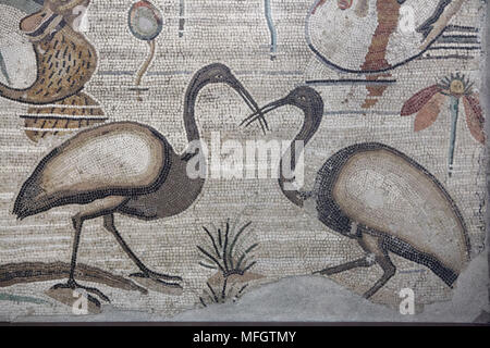 African sacred ibises (Threskiornis aethiopicus) depicted in the Roman mosaic with the Nilotic scene from the Casa del Fauno (House of the Faun) in Pompeii, now on display in the National Archaeological Museum (Museo Archeologico Nazionale di Napoli) in Naples, Campania, Italy. Stock Photo