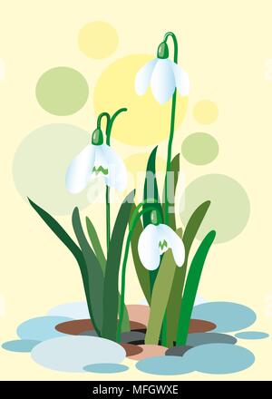 Snowdrops on a abstract background. Spring illustration. Illustration of flowers. Spring. Vector illustration Stock Vector