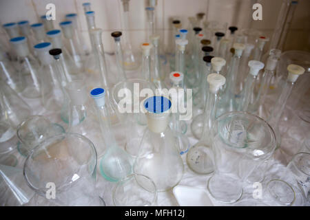 Lab glass tubes in a chenmistry laboratory. Equipment. Stock Photo