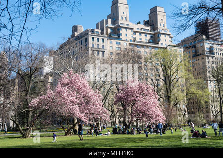 Springtime in Central Park, New York City, USA Stock Photo