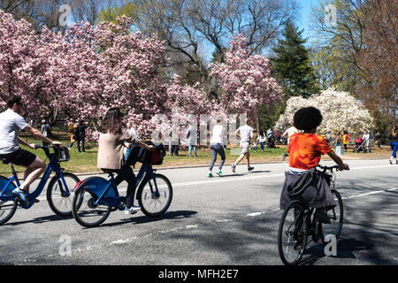 Active People Enjoying Central Park in the Springtime, NYC, USA Stock Photo