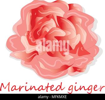 Marinated ginger slices illustration  isolated on white Stock Vector