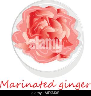 Marinated ginger slices illustration  isolated on white Stock Vector