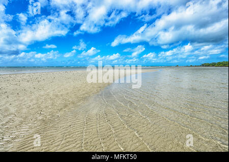 View of scenic Myall Beach at low tide, Cape Tribulation, Daintree National Park, Far North Queensland, FNQ, QLD, Australia Stock Photo