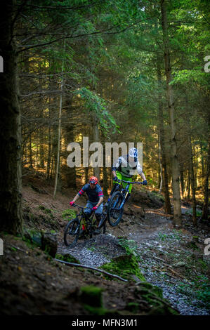 Haldon forest mtb online trails