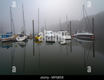 Perfect reflections on a  misty morning at Neyland Marina, Pembrokeshire Stock Photo