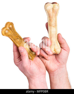 Hand with dog bone Stock Photo