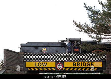 Gloucestershire and Warwickshire Steam Railway collection. Steam train on a low bridge. Stock Photo