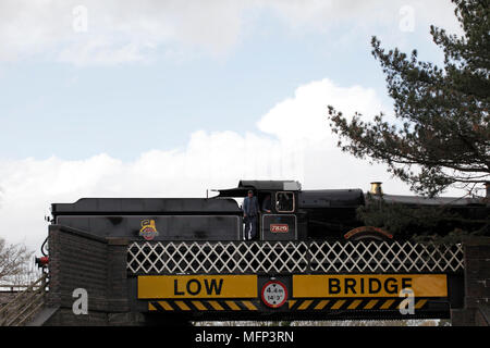 Gloucestershire and Warwickshire Steam Railway collection. Steam train on a low bridge. Stock Photo