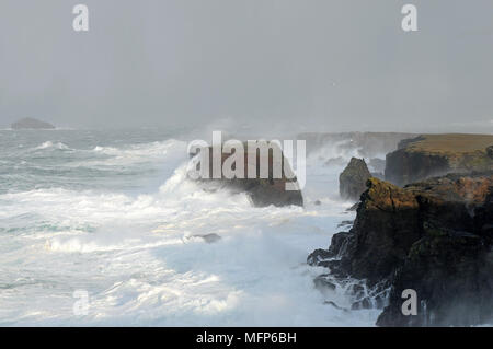 Bid waves at Eshaness cliffs in the Shetland Isle during a big Atlantic storm
