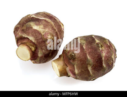 Jerusalem Artichoke, helianthus tuberosus, Tuber against White Background Stock Photo