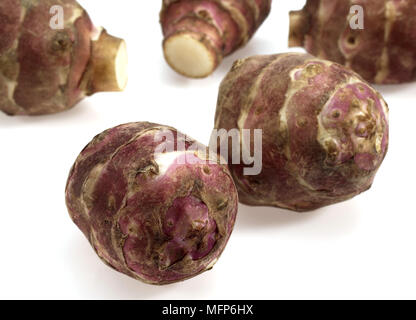 Jerusalem Artichoke, helianthus tuberosus, Tuber against White Background Stock Photo