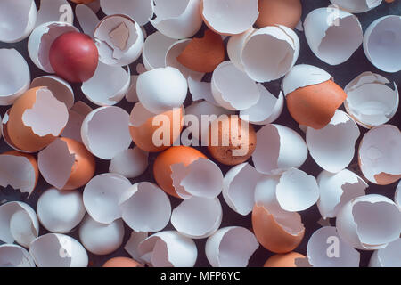 Empty, cracked and broken open eggshells of white and brown chicken eggs ready to go into organic waste. Baking leftover from above. Stock Photo