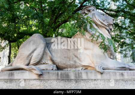 One of the lions at entrance of NYPL Stock Photo