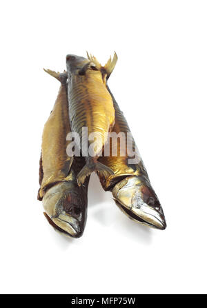 Smoked Mackerel, scomber scombrus, Fishes against White background Stock Photo