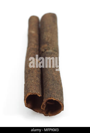 Chinese Cinnamon or Cassia Cinnamon, cinnamomum aromaticum Stock Photo