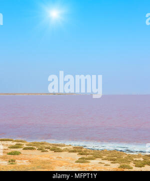 Sunshiny pink extremely salty Syvash Lake, colored by microalgae. Also known as the Putrid Sea or Rotten Sea. Ukraine, Kherson Region, near Crimea and Stock Photo