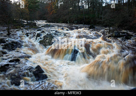 Water of Feugh in flood after heavy rain upstream of the Bridge of Feugh, near Banchory, Aberdeenshire, Scotland. Stock Photo