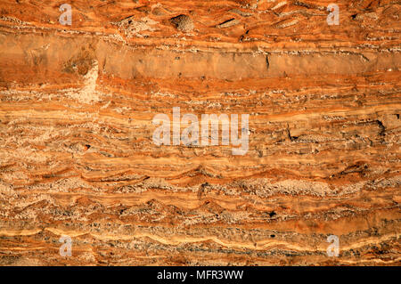 Detail of strata in a band of clay at the base of cliffs at Happisburgh, Norfolk. Stock Photo