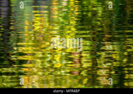Colorful blur reflection on the water surface look like a pastel color drawing (shallow DOF) Stock Photo